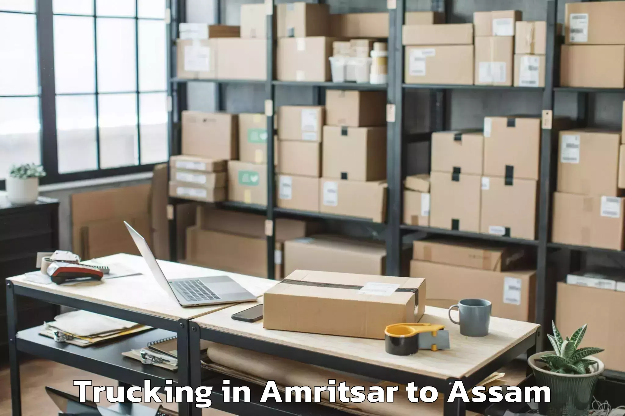 Leading Amritsar to Sonabarighat Trucking Provider